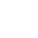 Icono de profesionalidad